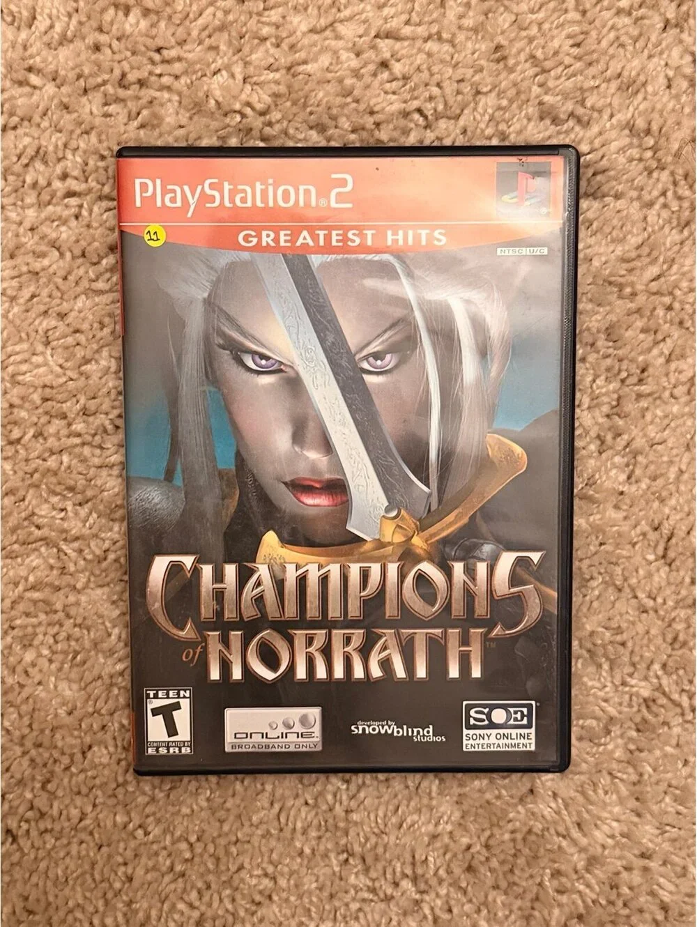 Champions of Norrath for PlayStation 2